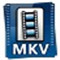 艾奇MKV视频格式转换器 