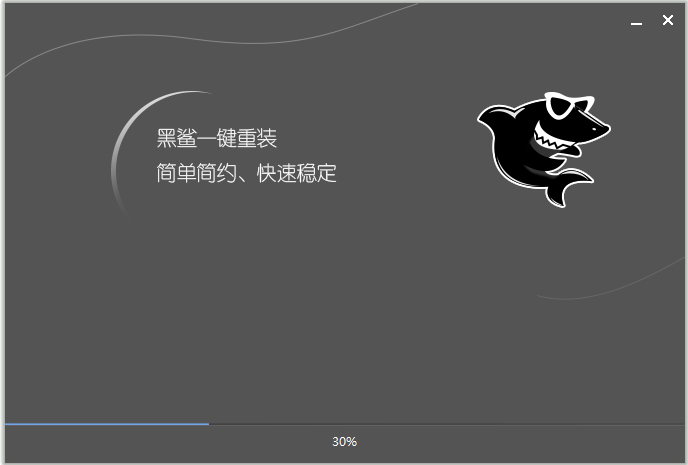 黑鲨装机大师 V11.5.47.1530