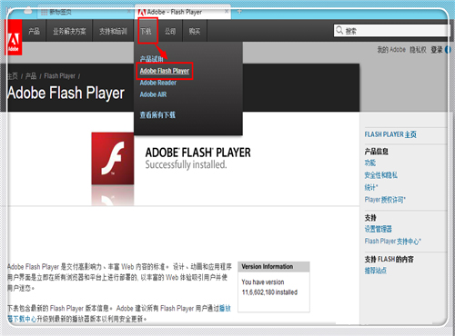 Adobe Flash Player(多媒体播放器) V29.0.0.96