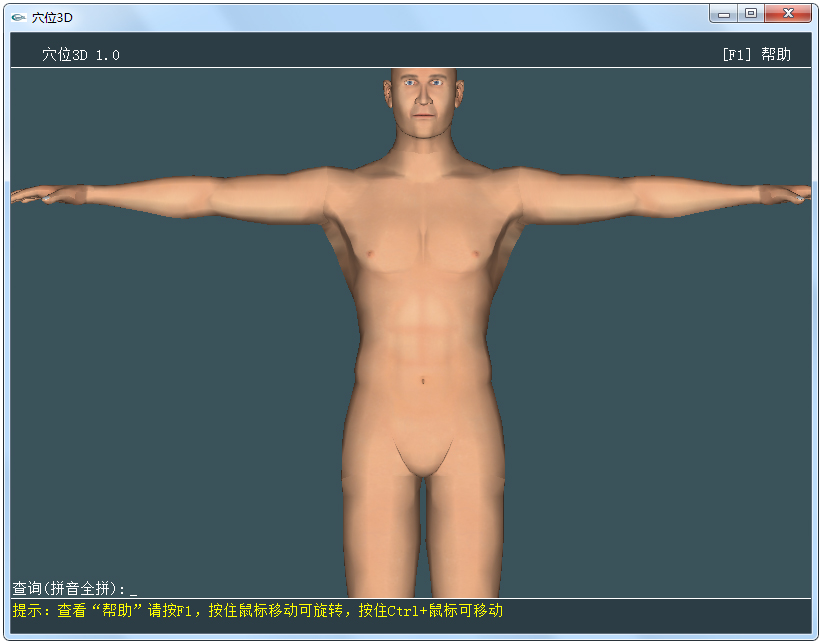 人体穴位3D模型软件 V2011