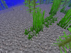 我的世界海草怎么种 我的世界海草种植方法详情