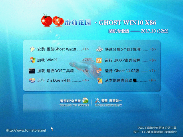 番茄花园 GHOST WIN10 X86 装机专业版 V2017.10(32位)