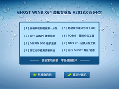 GHOST WIN8 X64 装机专业版 V2018.03(64位)